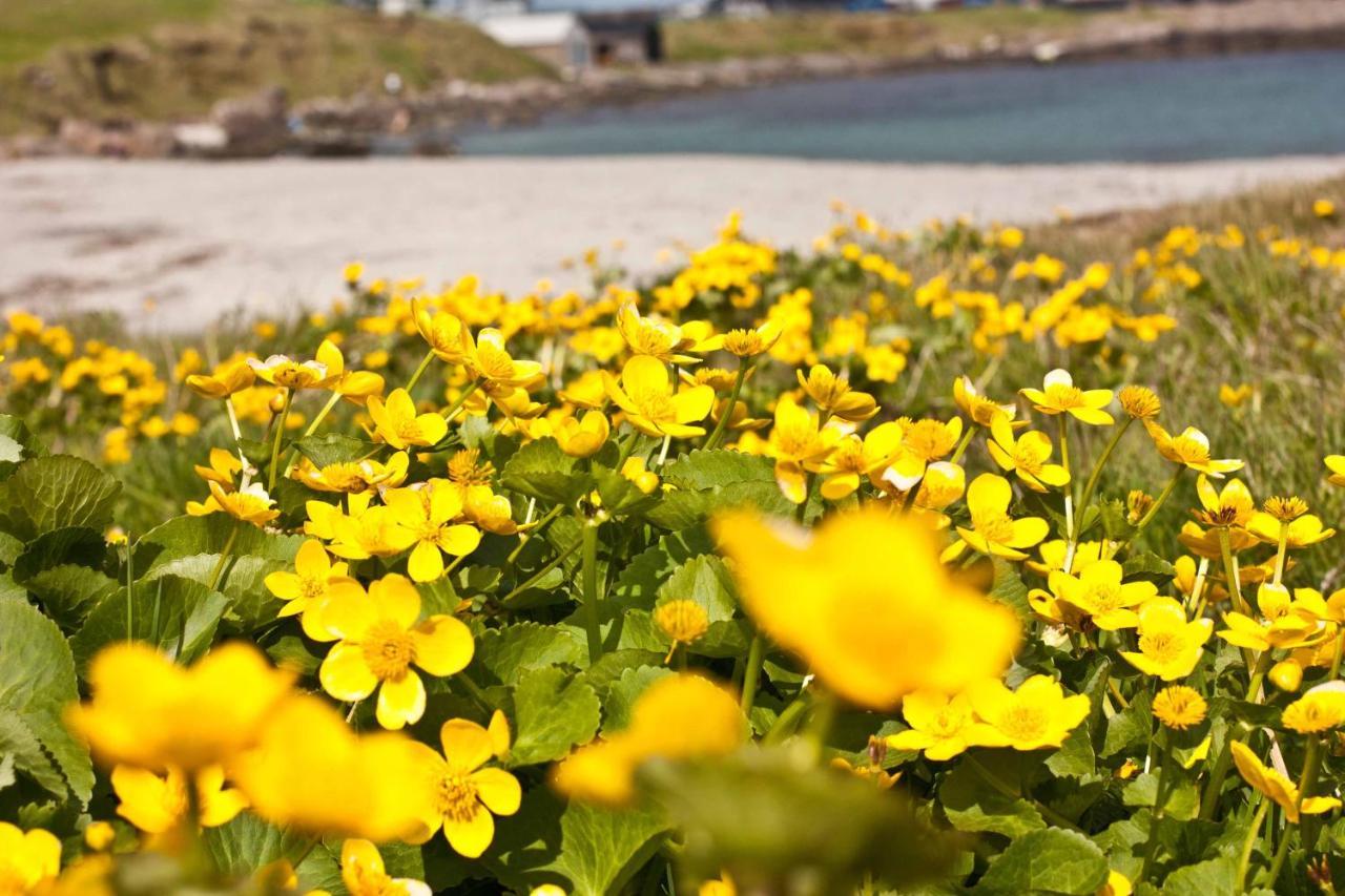 Cosy Apartment Near Beach, Marina & City Centre Tórshavn Exteriör bild